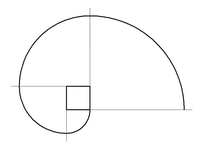 involute of a square